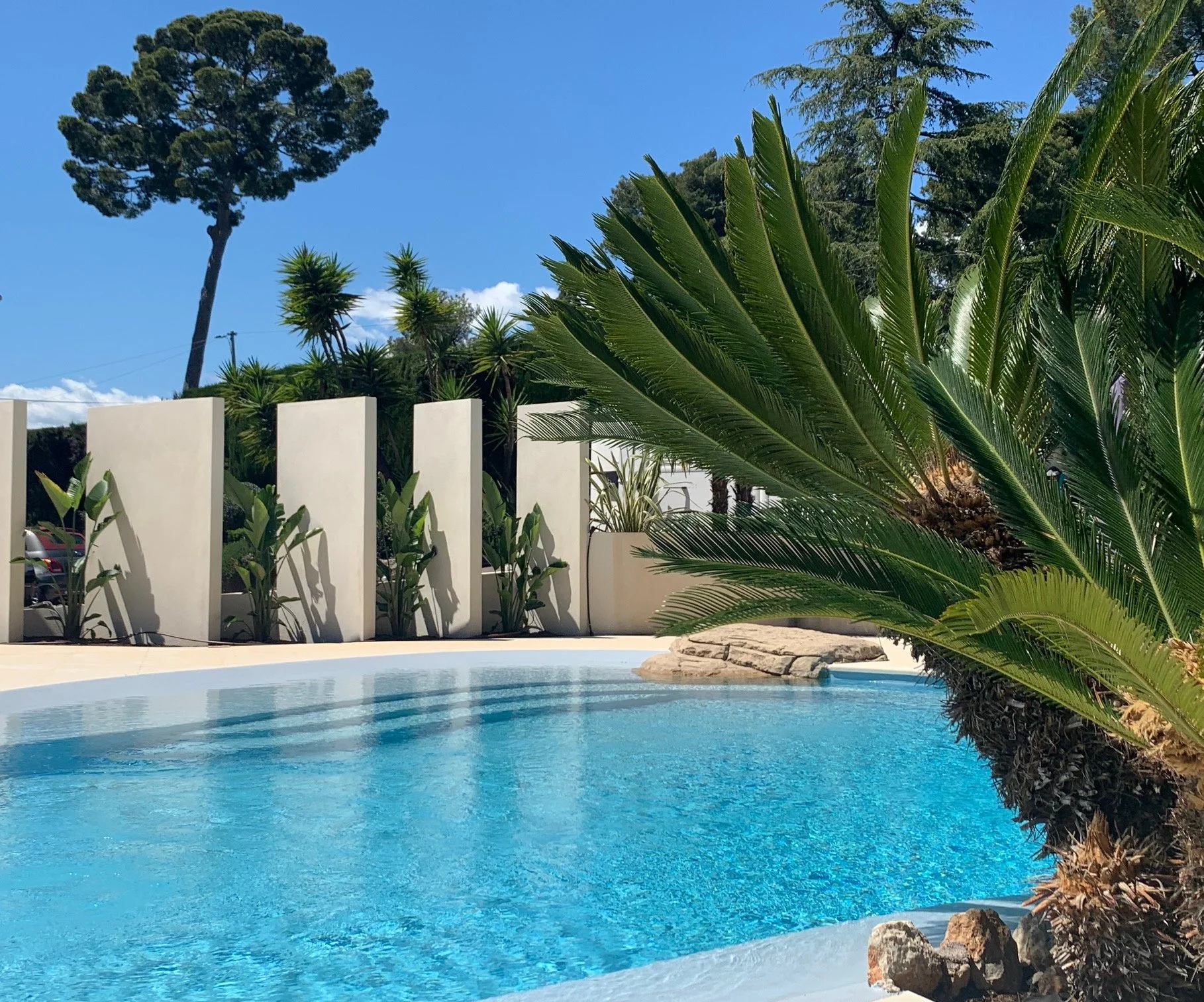 Swimming pool held between palms and pines, with the white Art Deco mansion beyond, Antibes